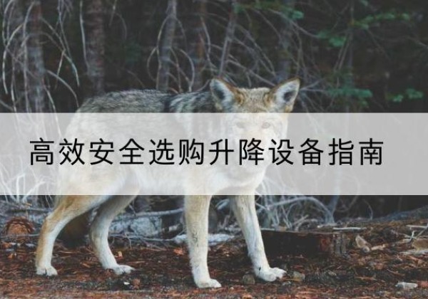 肃北升降货梯厂家推荐-*安全选购升降设备指南