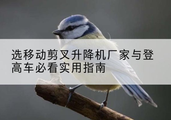 肃北电动升降机厂家-选移动剪叉升降机厂家与登高车必看实用指南