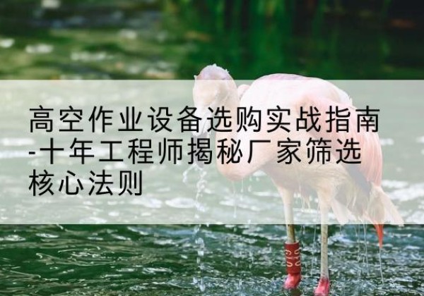 肃北剪叉式升降机厂家-高空作业设备选购实战指南-十年工程师揭秘厂家筛选核心法则